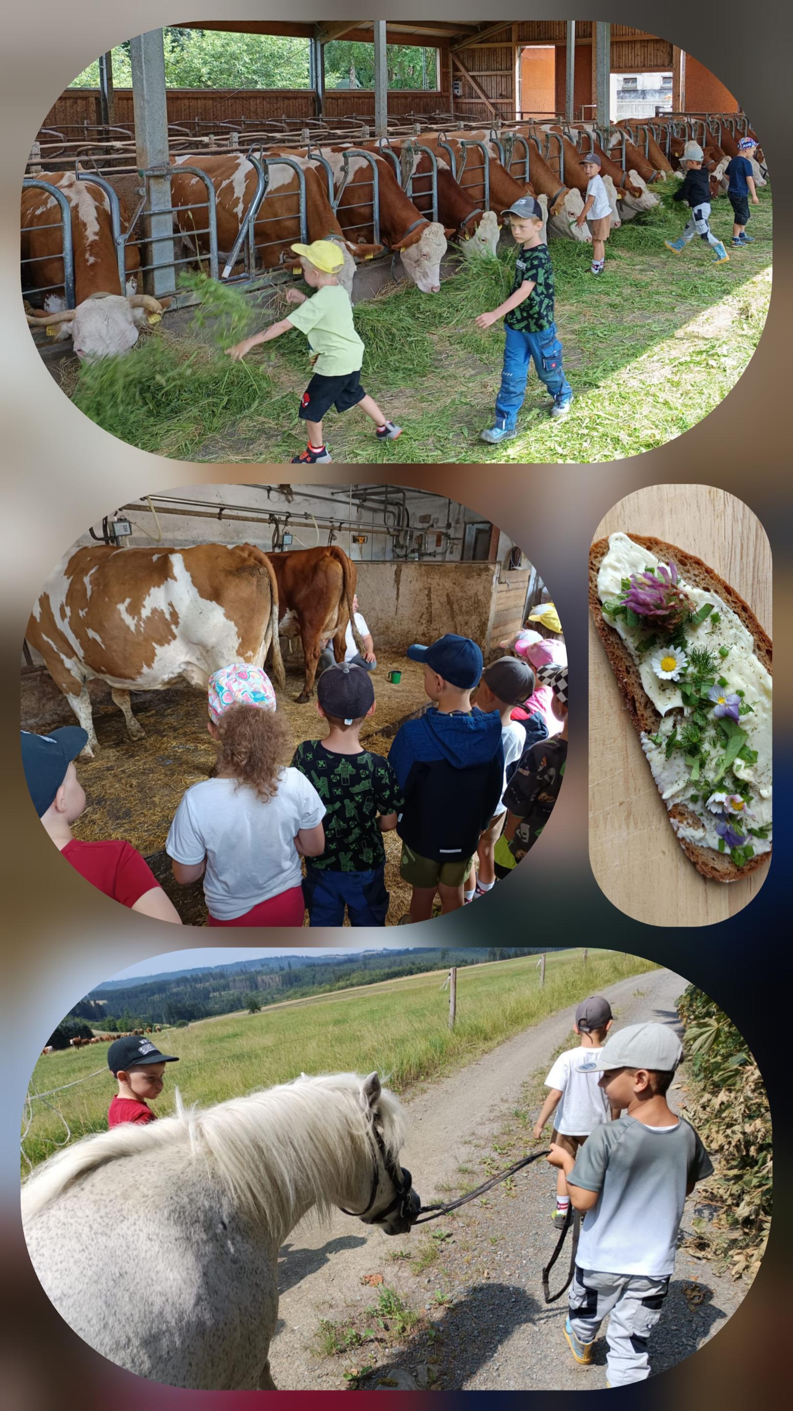 Bauernhofbesuch 2026 (c) A.W: